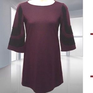 Shift Dress from Dress Barn Size 8